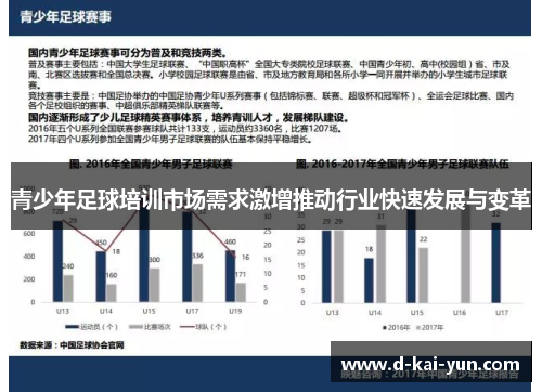 青少年足球培训市场需求激增推动行业快速发展与变革